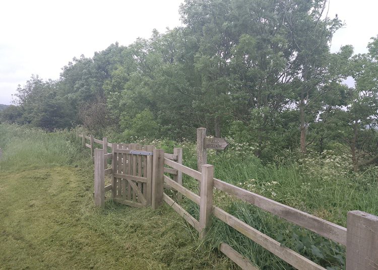 Public footpath to Hinderwell, Photo by Ray Casey