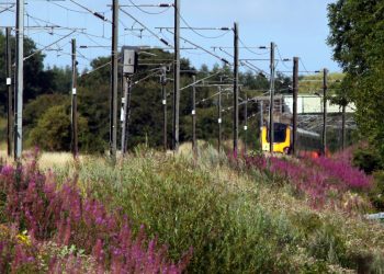 A train on the railway line through Cramlington. Photo: NCJ Media