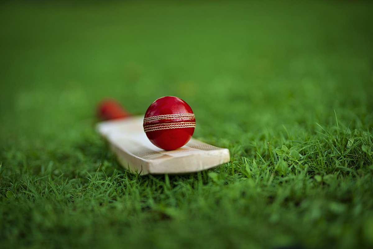 Newcastle to get all-weather cricket dome
