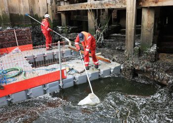 Clean up operation by Port of Tyne