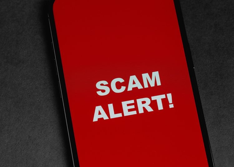 'Scam alert' written on mobile phone